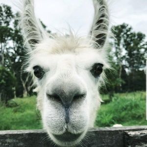 Meet your Posher, Haley